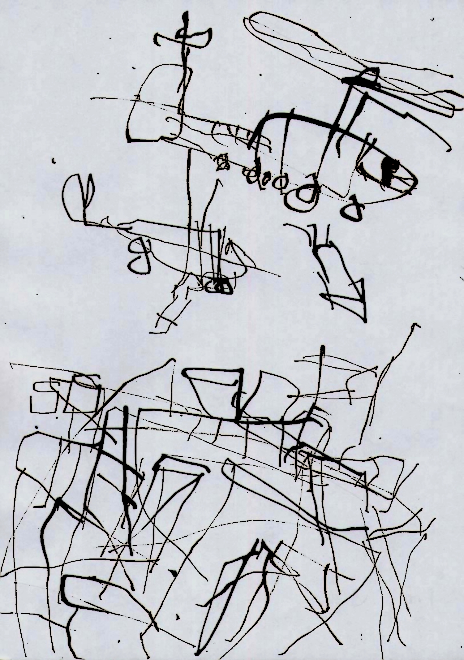 Adania Shibli: Butterflies and Helicopters